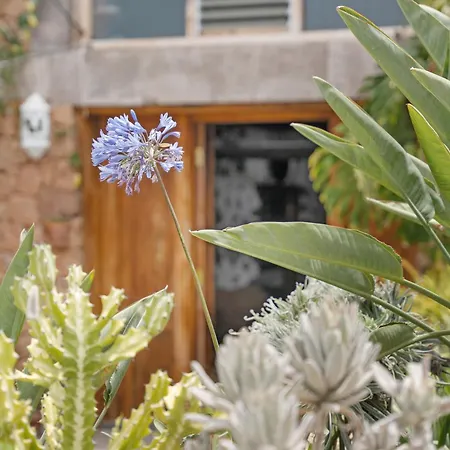 Holiday home Olaya